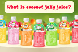 Coconut jelly juice (4)