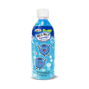 Nata de coco juice with blueberry flavour bottle 350 ml 11 8 fl oz