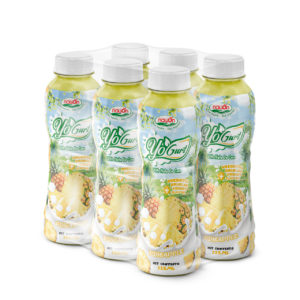 pp bottle 325ml 10 98 fl oz pineapple yogurt with nata de coco (3)