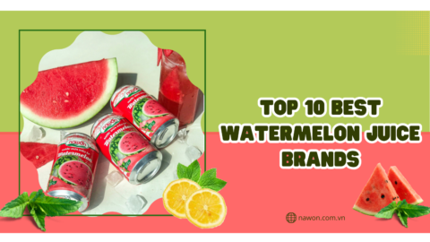 top 10 best watermelon juice brands for you (11)