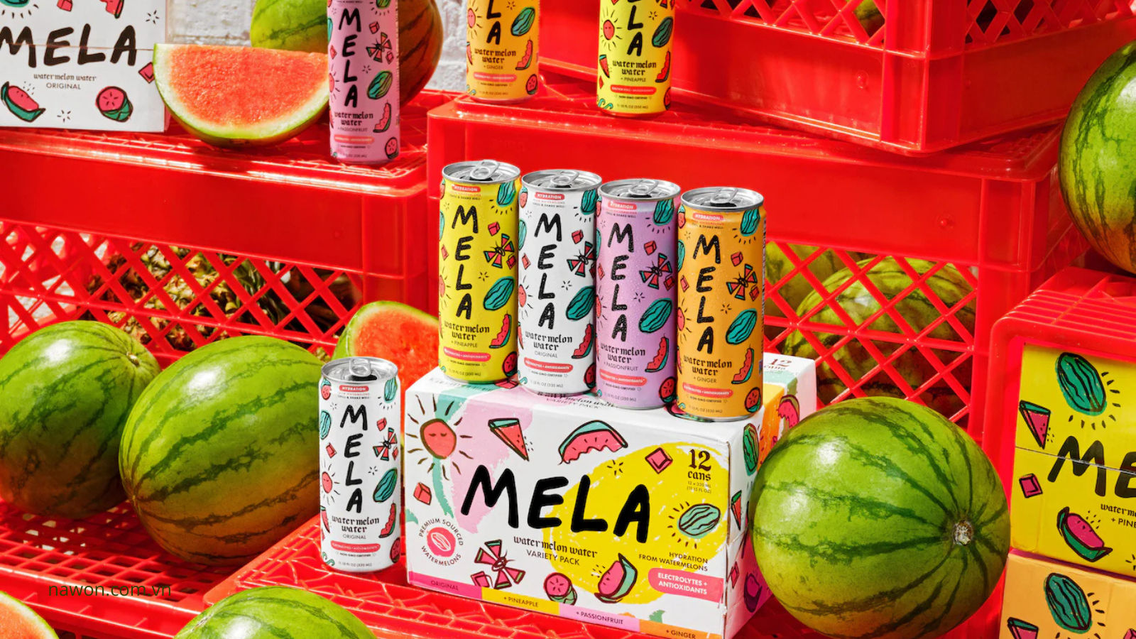 Top 10 best watermelon juice brands for you 2