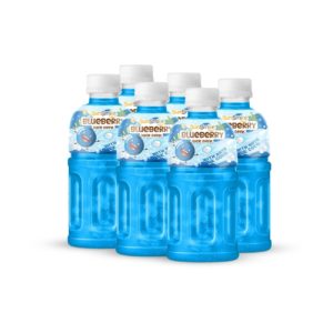 bottle 320ml 10 82 fl oz blueberry juice with nata de coco chewy jelly (2)
