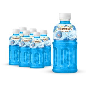 Bottle 320ml 10 82 fl oz blueberry juice with nata de coco chewy jelly