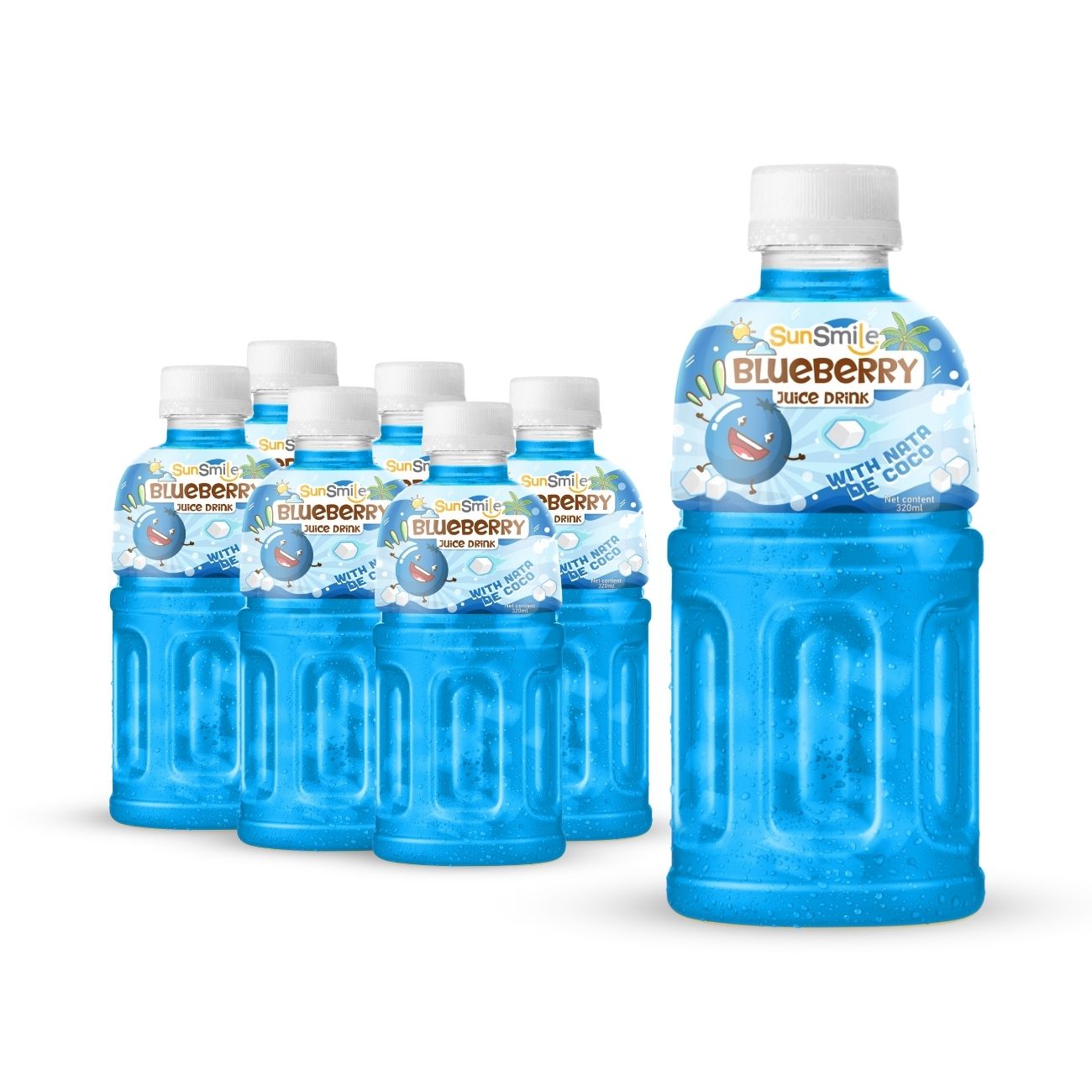 Bottle 320ml 10 82 fl oz blueberry juice with nata de coco chewy jelly