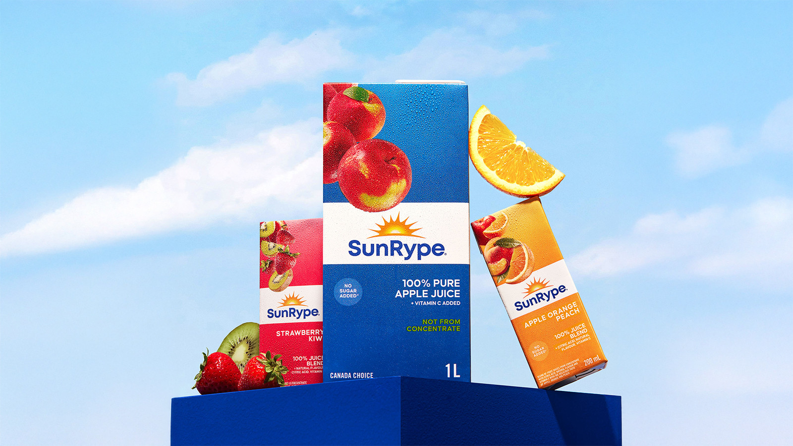 Apple juice brands canada 2025 (7)