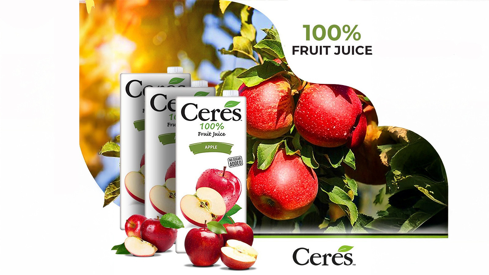 Apple juice brands canada 2025 (8)