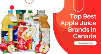 Discover The Top Apple Juice Brands In Canada
