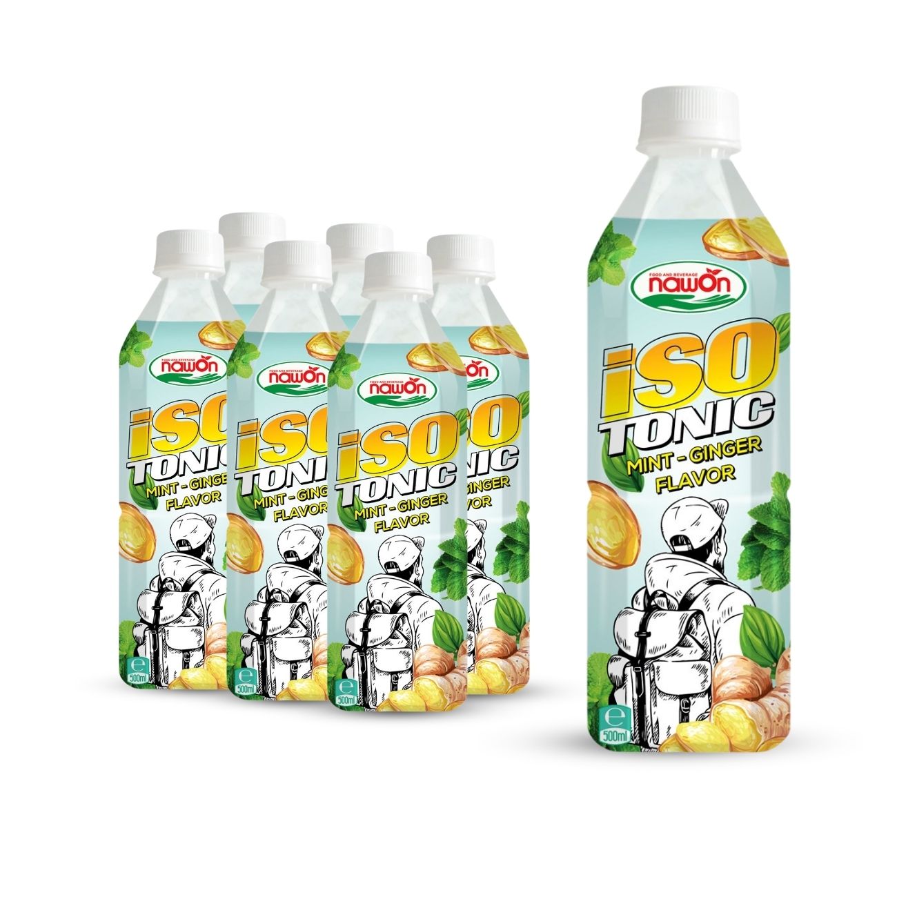 Bottle 500 ml 16 9 fl oz isotonic ginger mint flavor (1)