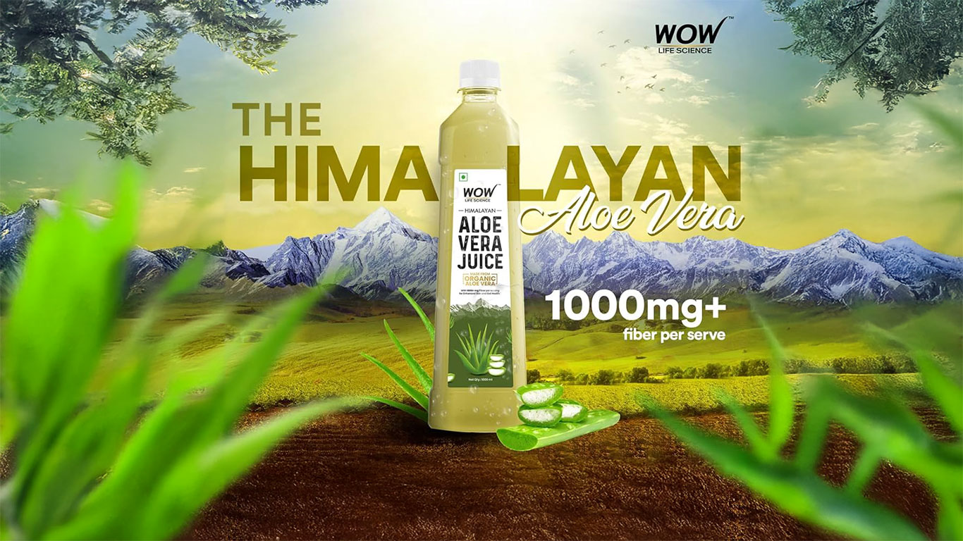 Discover the best aloe vera juice brands in india (1)