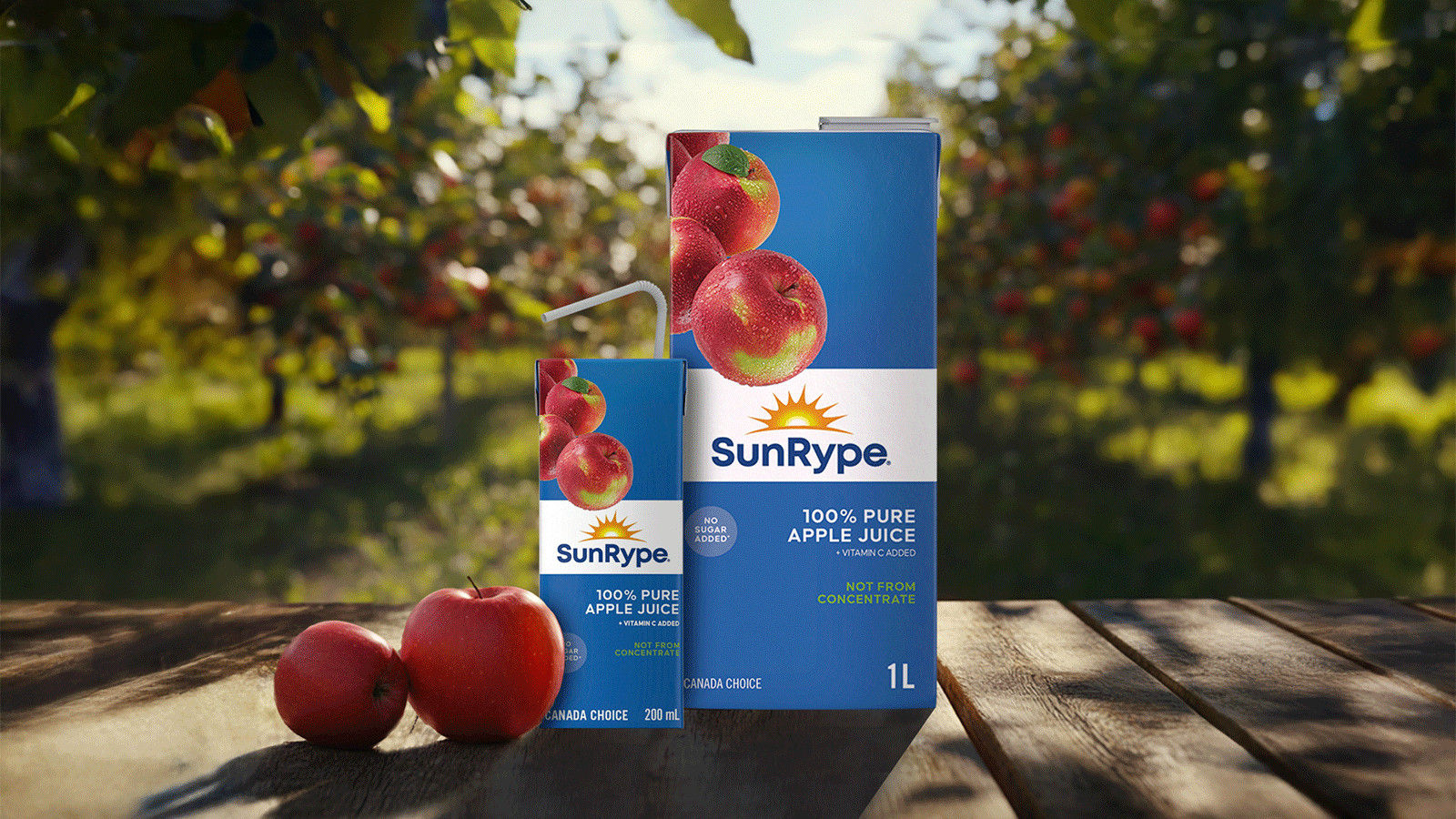 The best juice brands in canada (4)