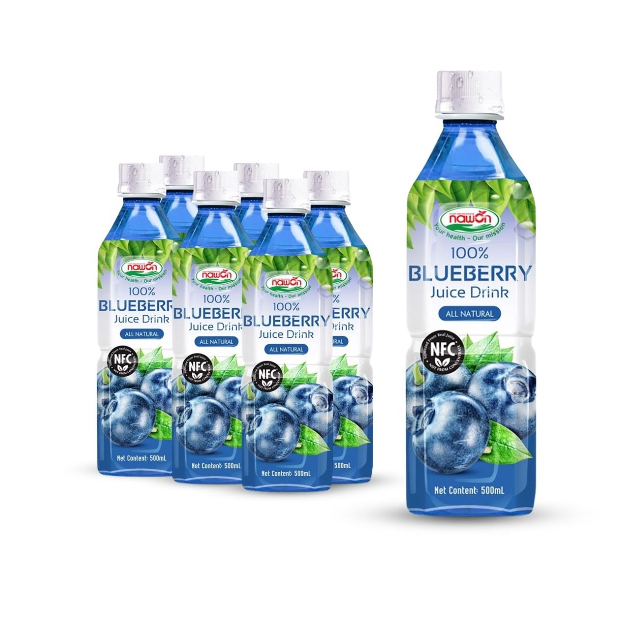 Bottle 500ml 16 9 fl oz 100 nfc blueberry juice drink made from real fruit (1)