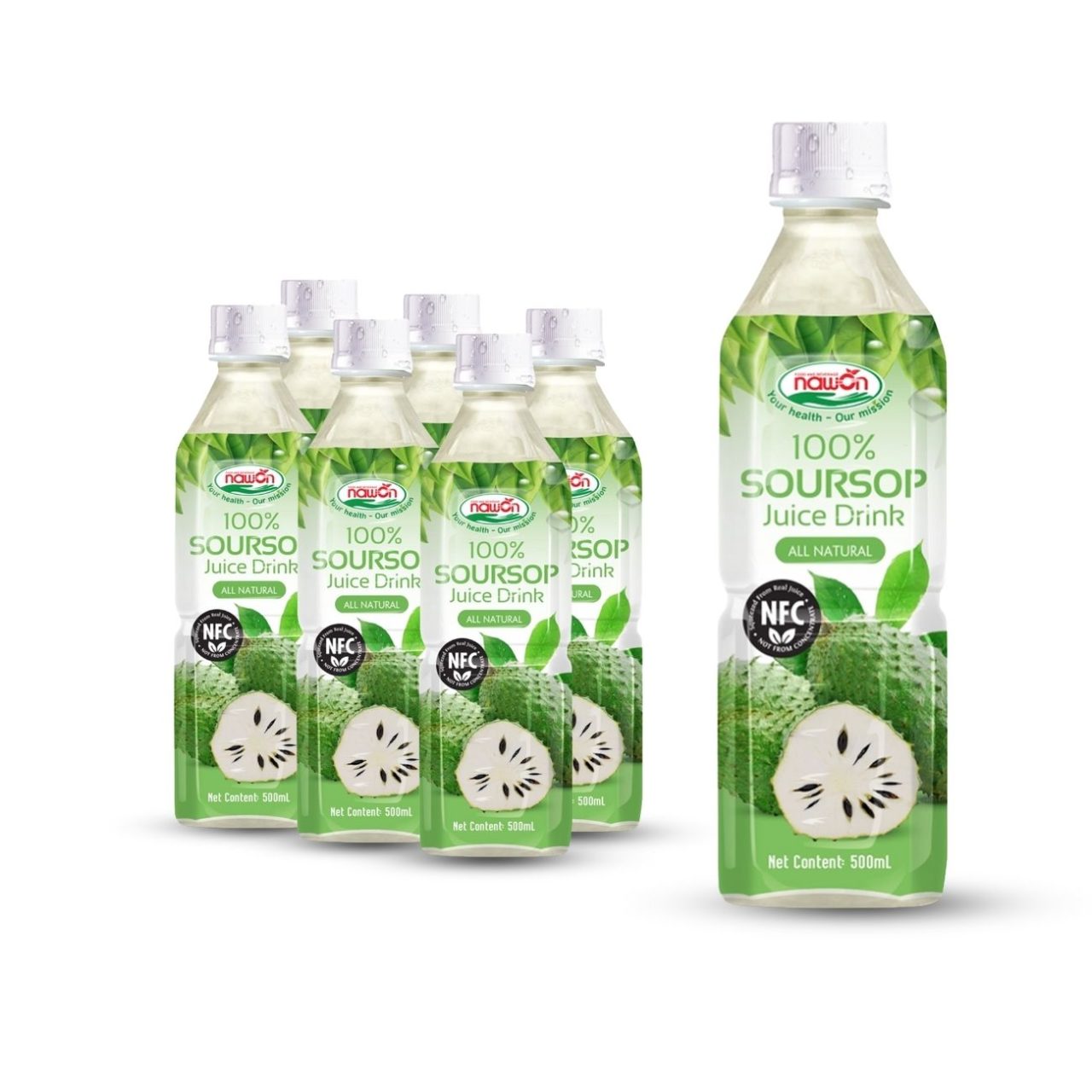 bottle 500ml 16 9 fl oz 100 nfc soursop juice drink made from real fruit (1)