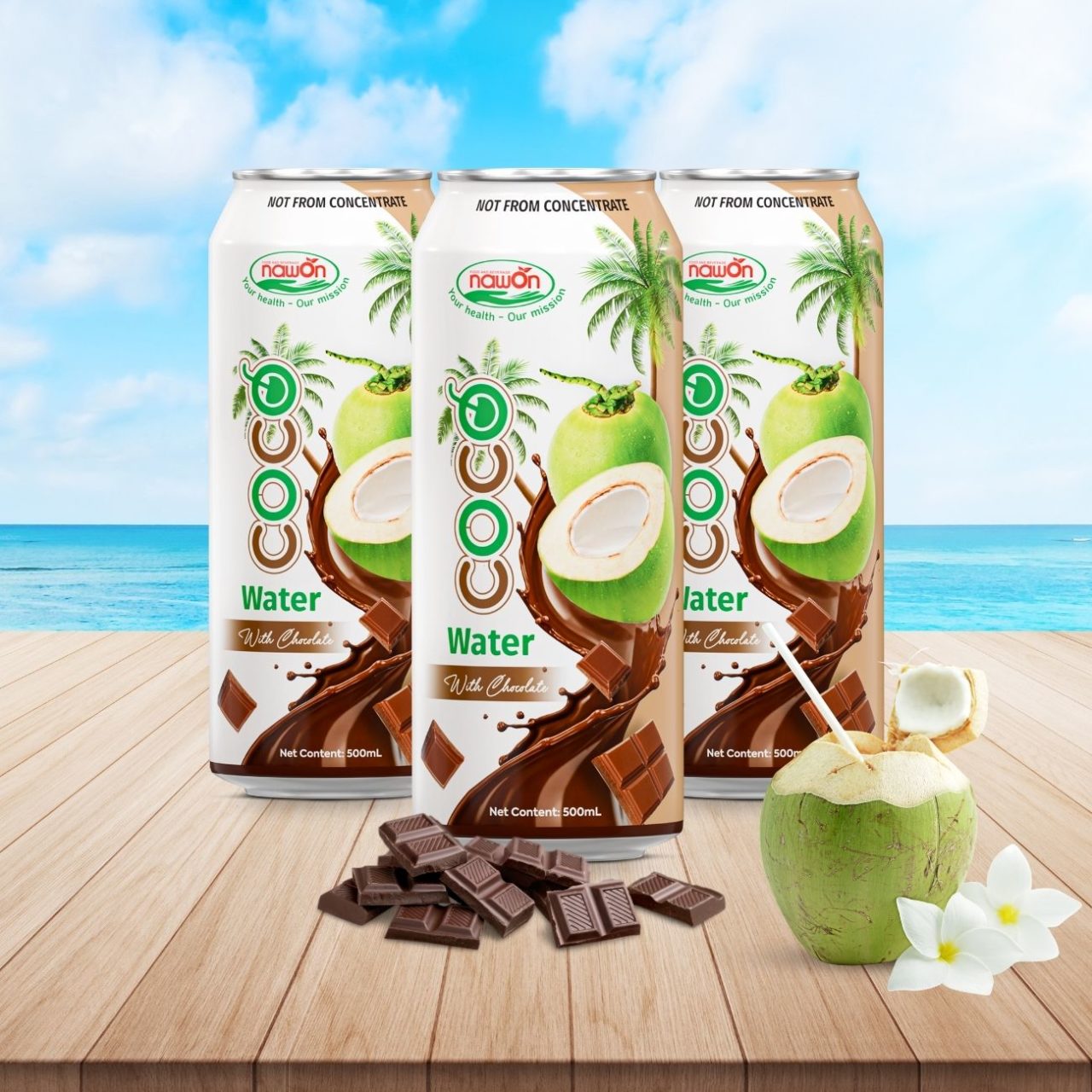 500ml 16 9 fl oz natural nfc coco water with gentle chocolate flavor (1)