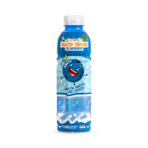 Bottle 500ml 16 9 fl oz blueberry juice drink with chewy nata de coco jelly