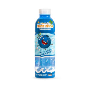 bottle 500ml 16 9 fl oz blueberry juice drink with chewy nata de coco jelly (2)