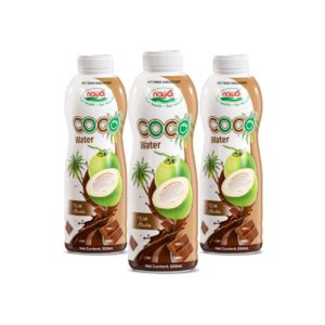 Bottle 500ml 16 9 fl oz natural nfc coco water with gentle chocolate flavor (3)