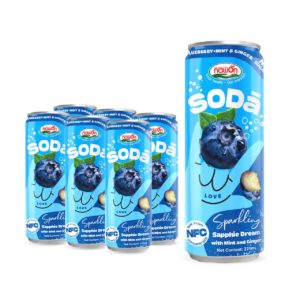 can 320ml 10 82 fl oz soda blueberry mint ginger sparkling drink no sugar added