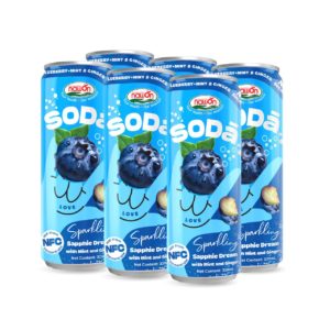 can 320ml 10 82 fl oz soda blueberry mint ginger sparkling drink no sugar added (2)