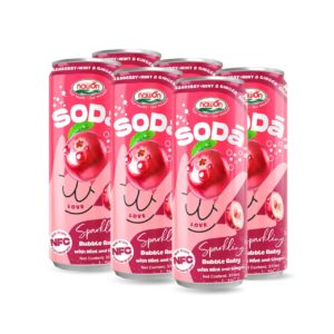 can 320ml 10 82 fl oz soda cranberry mint ginger sparkling drink no sugar added 2