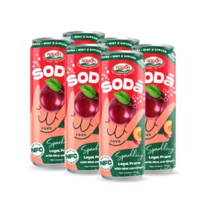 can 320ml 10 82 fl oz soda prune mint ginger sparkling drink no sugar added (1)