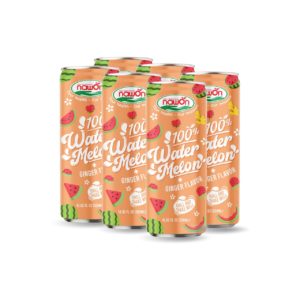 can 320ml 11 18 fl oz 100 refreshing watermelon juice with spicy chillie mango flavor 2