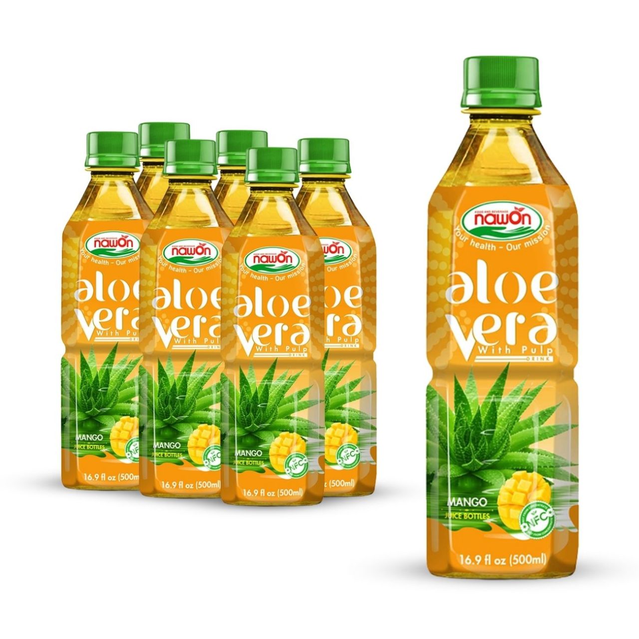 pet bottle 500ml 16 9 fl oz aloe vera drink featuring a refreshing mango flavor (1)