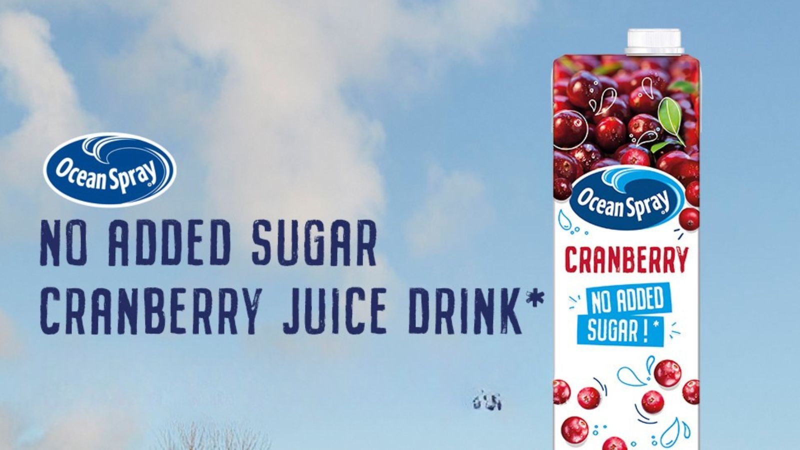 top 9 low sugar juice brands worth adding to your daily routine 2
