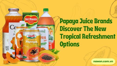 Top papaya juice brands in the world (9)