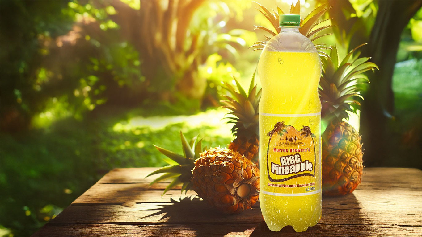 refreshing choices the best pakistani juice brands to try today (3) refreshing choices the best pakistani juice brands to try today (3)