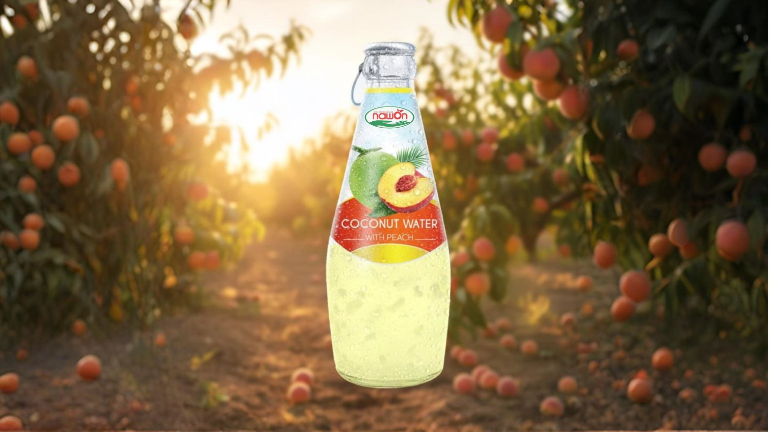 peach coconut water peach coconut water