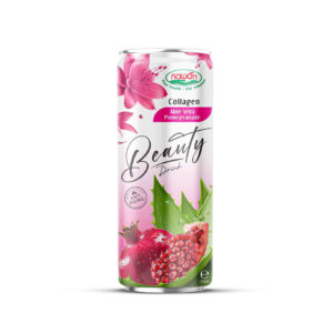 Can 250ml 8 45 fl oz premium collagen beauty drink with juicy pomegranate and aloe vera (1)
