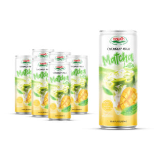 can 320ml 10 82 fl oz vegan coconut milk matcha latte with mango flavor drink 2