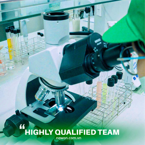 highly qualified team highly qualified team