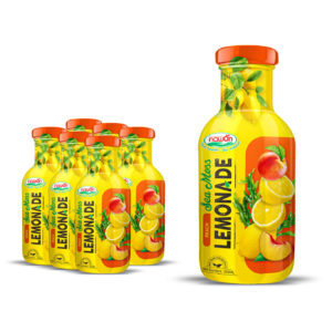 glass bottle 355ml 12 01 fl oz sea moss lemonade juicy peach sweetness light herbal lift (3)