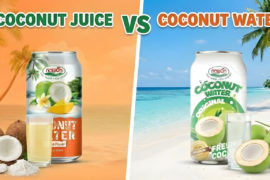 Coconut Juice vs Coconut Water