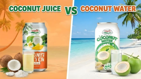 Coconut Juice vs Coconut Water