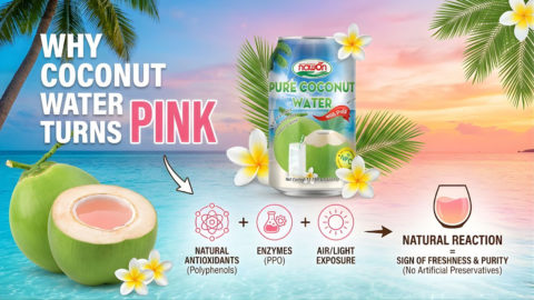 Why Is Coconut Water Pink