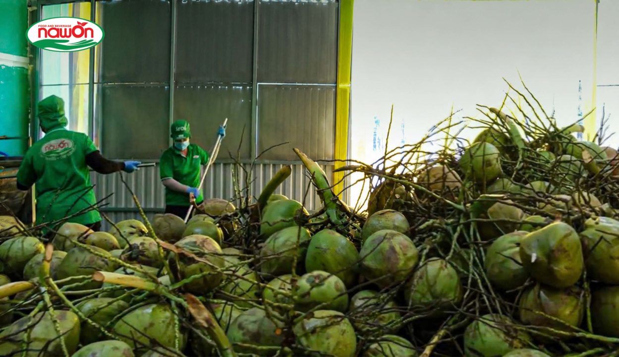 coconut post-processing coconut post-processing