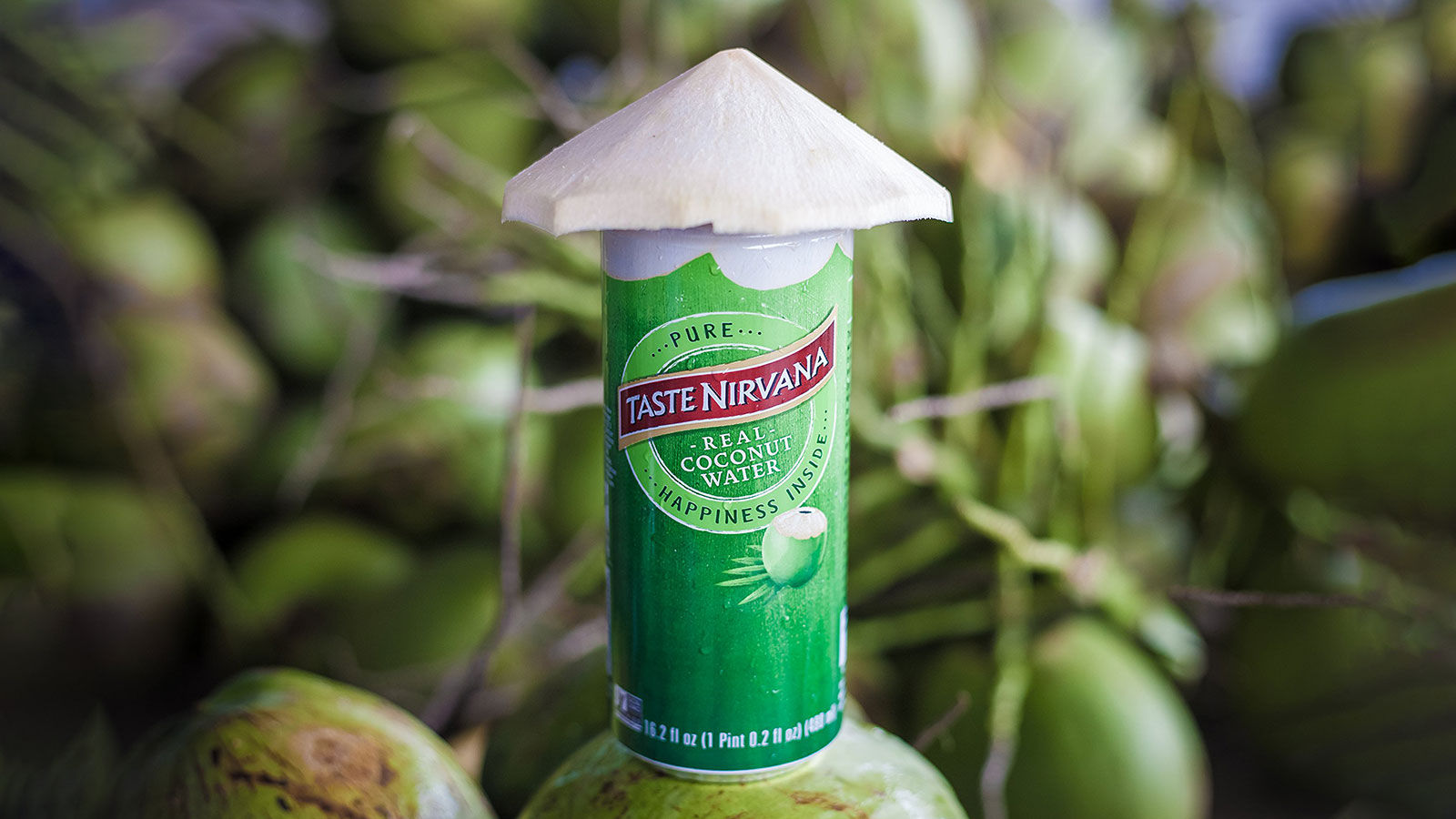 best coconut water brand 2024 2 best coconut water brand 2024 2